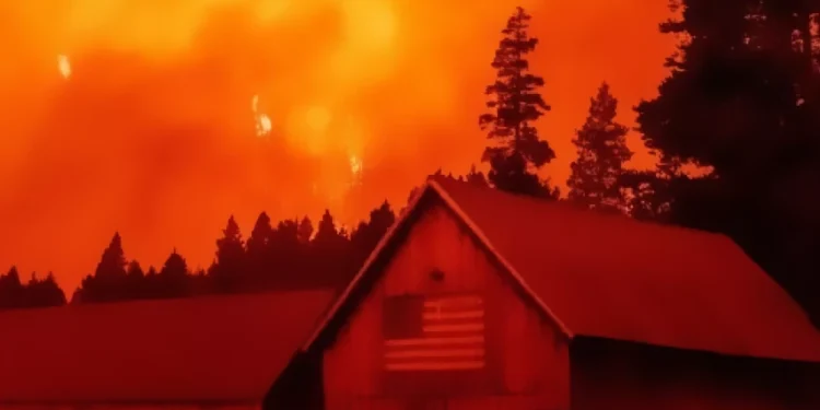 FEMA Backlog Stalls Wildfire Prevention Project in Placerville Three Years After Caldor Fire