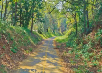 Best Paved Bicycle Trails in the U.S.: El Dorado Trail Earns National Attention