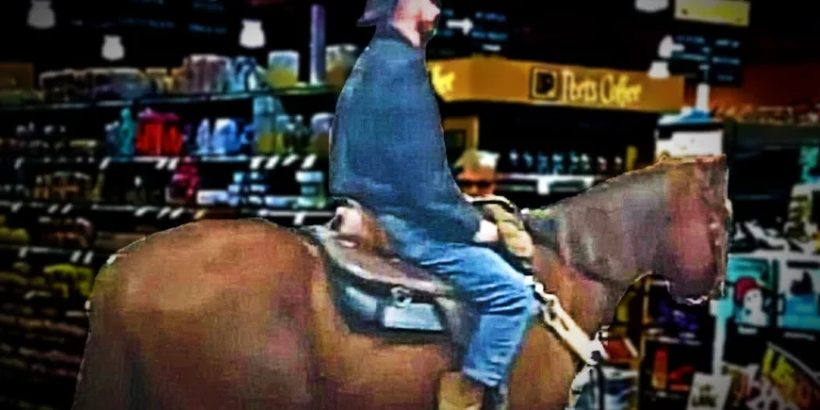 Horseplay in the Aisles: Equine Adventure in Cool Grocery Store