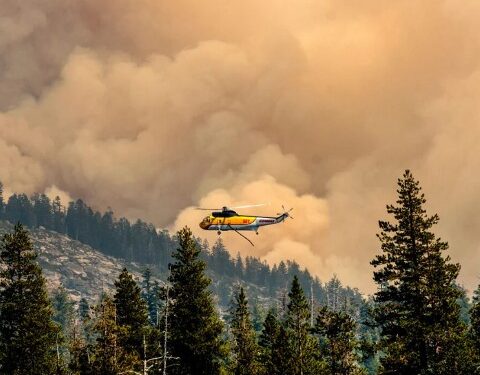 Unanswered Questions Surround Key Witness in Caldor Fire Case