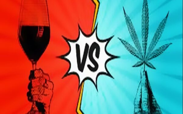 Water Wars: Dispelling Myths Surrounding Cannabis and Grape Water Usage in Somerset