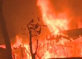 Negligence Allegations Spark Federal Lawsuit in Wake of Devastating Wildfire