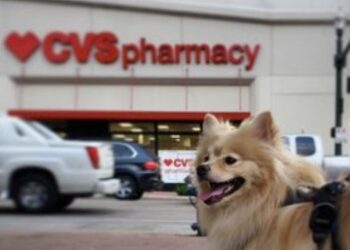 El Dorado Hills Player Strike Gold in Lottery Scratchers Bonanza