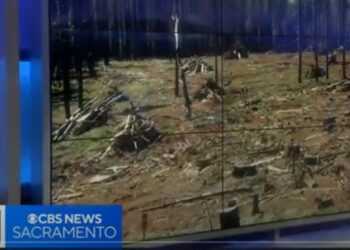 El Dorado County Greenlights Tiny Homes for Grizzly Flats Rebuilding Efforts