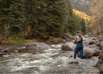 Sierra Pacific Industries to Close Public Access to Area Forestlands Due to Wildfire Risk