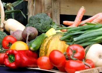 Farmers’ Market Coupon Booklets Now Available for El Dorado County Seniors