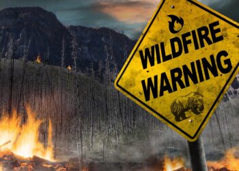 Three Years After the Caldor Fire: The Struggle to Rebuild Continues