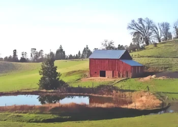 Clear Skies, Light Winds, and Showers: A Week of Varied Weather for Motherlode