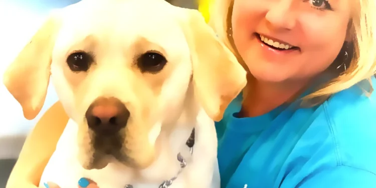 Green Valley Teacher Transforms Classroom with Guide Dogs for the Blind