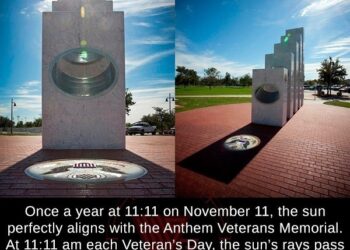 “Veterans Day: Honoring Service and Sacrifice at the 11th Hour on November 11”