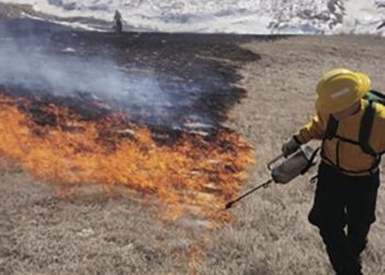 Eldorado National Forest Begins 2024 Prescribed Burn Program