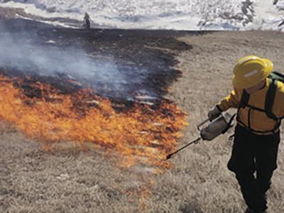 Eldorado National Forest Begins 2024 Prescribed Burn Program