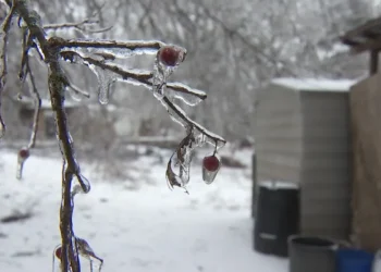 Hard Freeze Warning Issued for El Dorado County