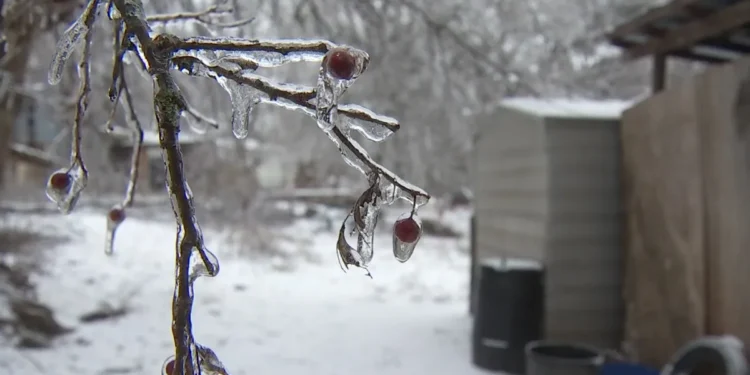 Hard Freeze Warning Issued for El Dorado County