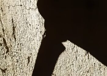 Unhoused Man Arrested for Attempted Murder Outside Placerville Library