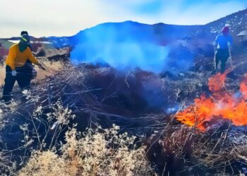Washoe Tribe Revives Cultural Burning to Restore Forests and Heritage