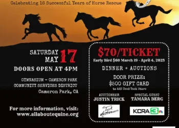 All About Equine Hosts 12th Annual ‘Boots and Bling’ Fundraiser to Support Horse Rescue
