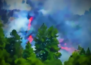 Arsonist Jason Robinette Convicted for Starting Crozier Fire near Placerville