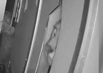 Shingle Springs resident caught a mountain lion peering through their pet door