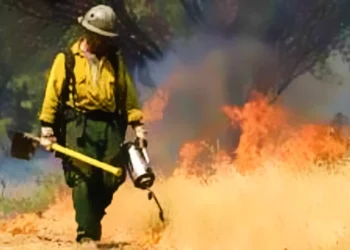 Sierra Pacific Industries Settles for $200K Over 2021 El Dorado County Wildfire