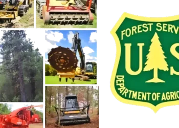 Wildfire Risk Reduced: Forest Service Begins Mastication Work Near Meyers