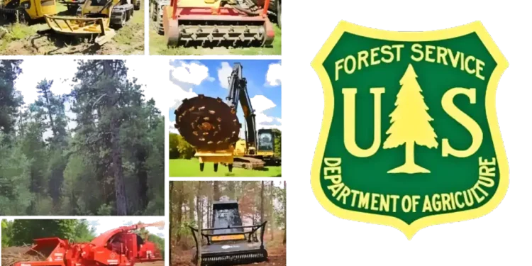 Wildfire Risk Reduced: Forest Service Begins Mastication Work Near Meyers