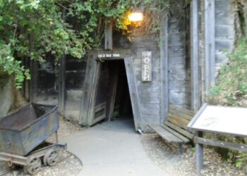 Placerville Proposes Major Upgrades to Gold Bug Park and Emergency Services