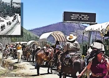 76th Annual Highway 50 Wagon Train Rides Again: A Living History Journey from Lake Tahoe to Placerville
