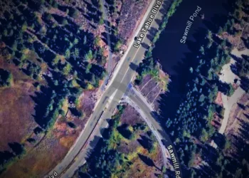 Teen E‑Bike Rider Fatally Struck at Lake Tahoe Blvd Crosswalk