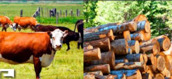 “Getting Started with Ranching” Workshop Offers Practical Path to Livestock Success in El Dorado County