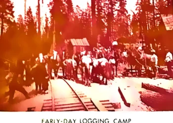 How Logging Built El Dorado County: The Untold Story of ‘Green Gold’ in the Sierra