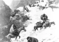 Tragedy in the Sierras: The Donner Party’s Ordeal That Shaped California History