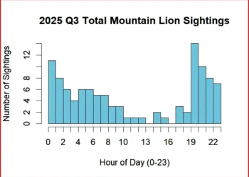Mountain lions in El Dorado County peak at dusk and after dark, local monitoring shows
