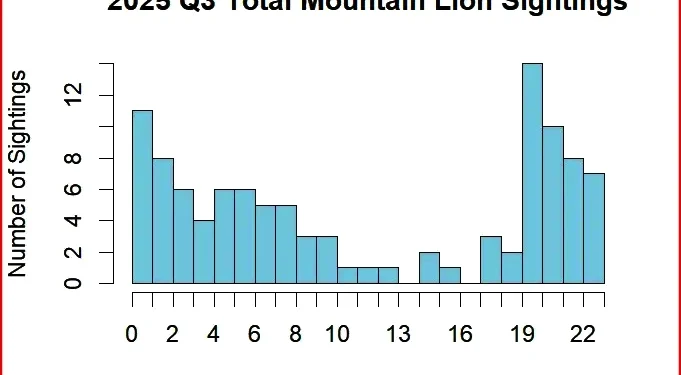 Mountain lions in El Dorado County peak at dusk and after dark, local monitoring shows