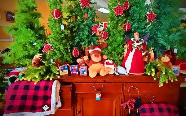 Re:Visions reopens in Cameron Park — holiday makeover sends 100% of sales to BBBSNS