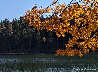 EID moves quickly to replace failing Reservoir 1 liner and floating cover in Pollock Pines