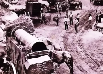 Feeding the Teams: How the Comstock Silver Rush Forged Placerville’s Freight Routes