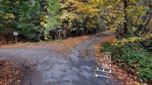 7-Year-Old Severely Hurt After Dirt Bike Strikes UTV in Eldorado National Forest