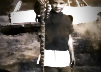 Early Heatwave in El Dorado County Triggers Spike in Rattlesnake Activity