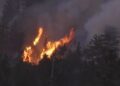 Point Fire Reported Sunday in El Dorado County; Cause Under Investigation