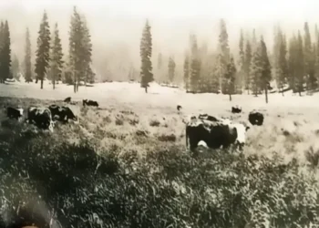 From Meadow to Reservoir: The Lost Valley Beneath Jenkinson Lake