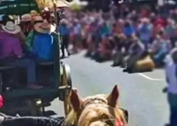 Placerville to Close Main Street for 77th Annual Highway 50 Wagon Train Arrival