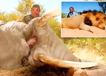 El Dorado County Hunter Reflects on Friend Killed in Africa Safari Tragedy
