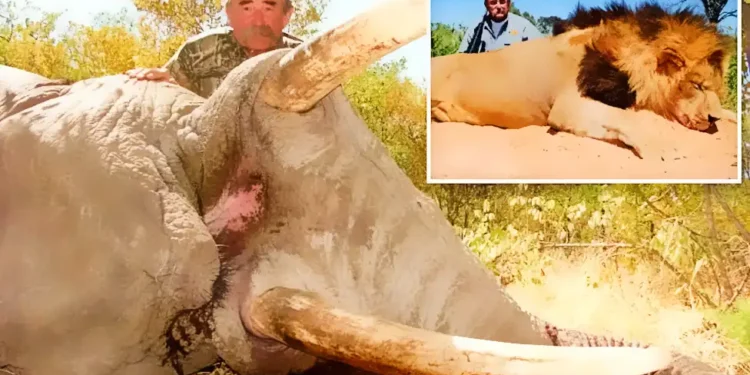 El Dorado County Hunter Reflects on Friend Killed in Africa Safari Tragedy