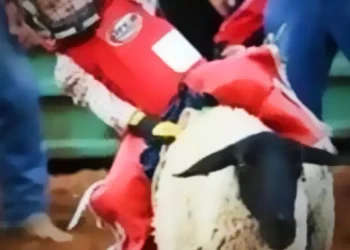 Mutton Busting Returns to Placerville Arena with Youth Rodeo Action