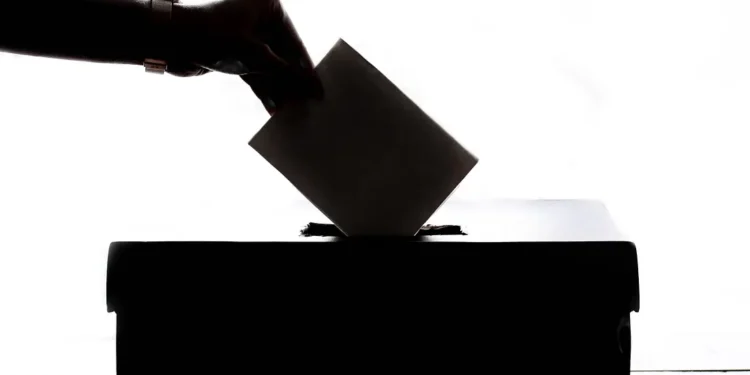 Gaines and Clark Campaign Finance Reports Reveal Diverging Money Paths in El Dorado County Supervisor Race