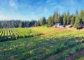 El Dorado Wineries Push for Unified Tourism and Wine Marketing Effort Amid County Support Concerns