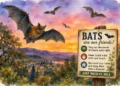 Bat Season Picks Up Across El Dorado County Foothills