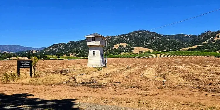 Why Northern California’s Wine Industry Is Drying Up