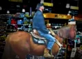 Horseplay in the Aisles: Equine Adventure in Cool Grocery Store